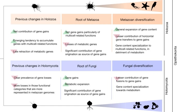 https://media.springernature.com/full/springer-static/image/art%3A10.1038%2Fs41586-023-06970-0/MediaObjects/41586_2023_6970_Fig1_HTML.png?as=webp