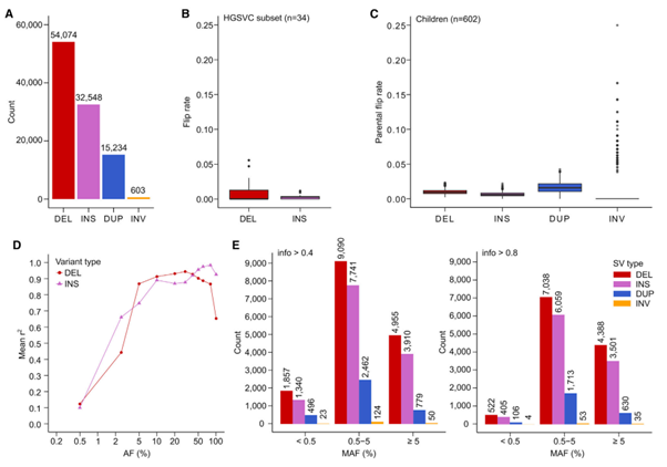 Figure 6. SV phasing and imputation performance