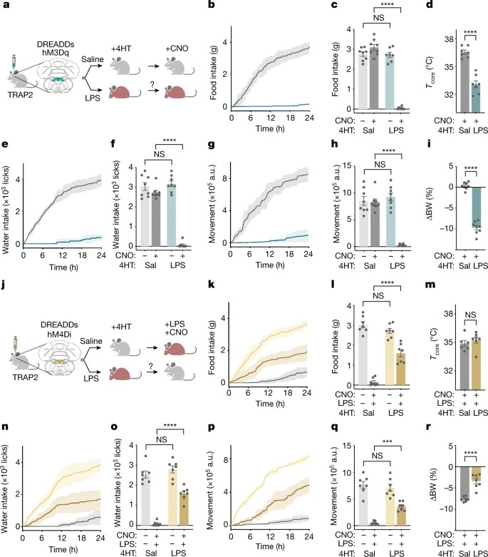 Brainstem ADCYAP1+ neurons control multiple aspects of sickness behaviour