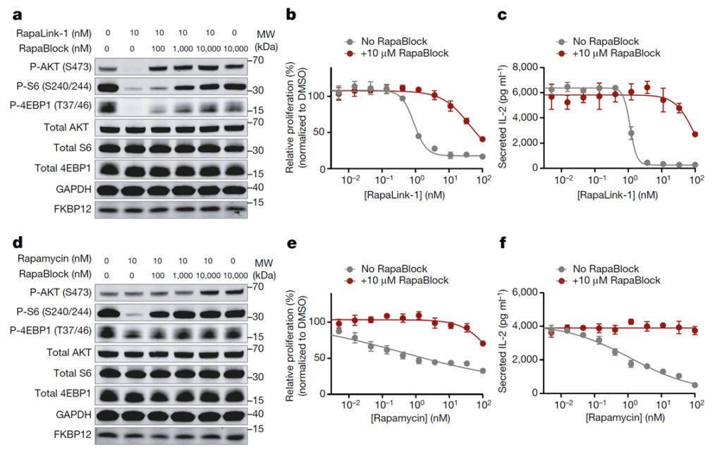 Brain-restricted mTOR inhibition with binary pharmacology