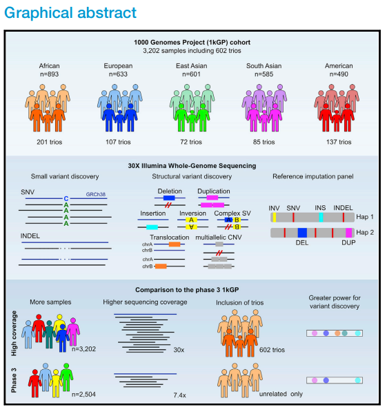 High-coverage whole-genome sequencing of the expanded 1000 Genomes Project cohort including 602 trios