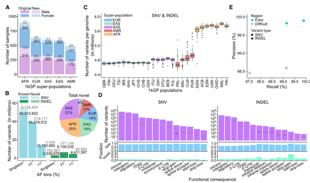 Figure 1. SNV/INDEL discovery in the high-coverage WGS data across the 3,202 1kGP samples