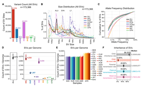 Figure 2. SV discovery in the high-coverage WGS data across the 3,202 1kGP samples