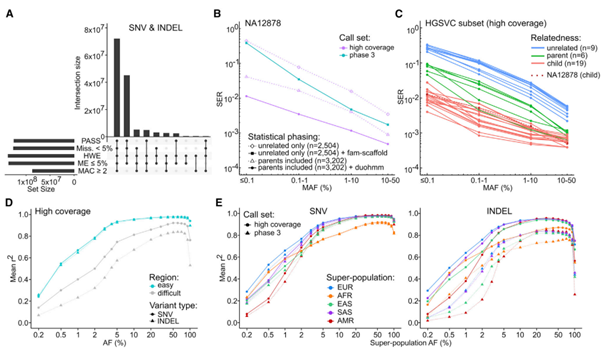 Figure 5. Small variant phasing and imputation performance