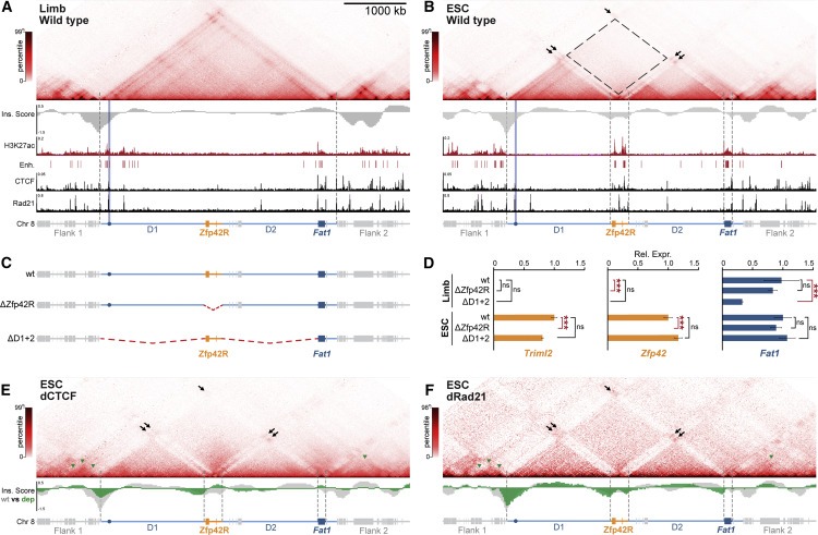 Repression and 3D-restructuring resolves regulatory conflicts in evolutionarily rearranged genomes