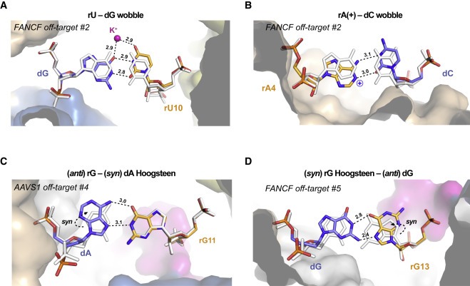 Structural basis for Cas9 off-target activity