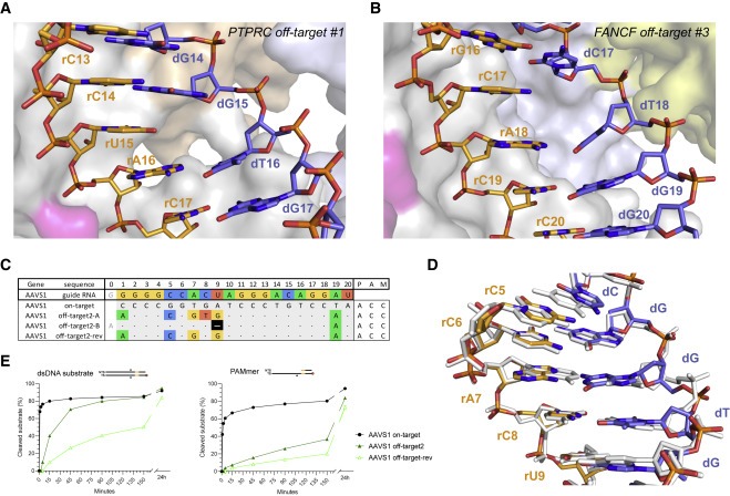 Structural basis for Cas9 off-target activity