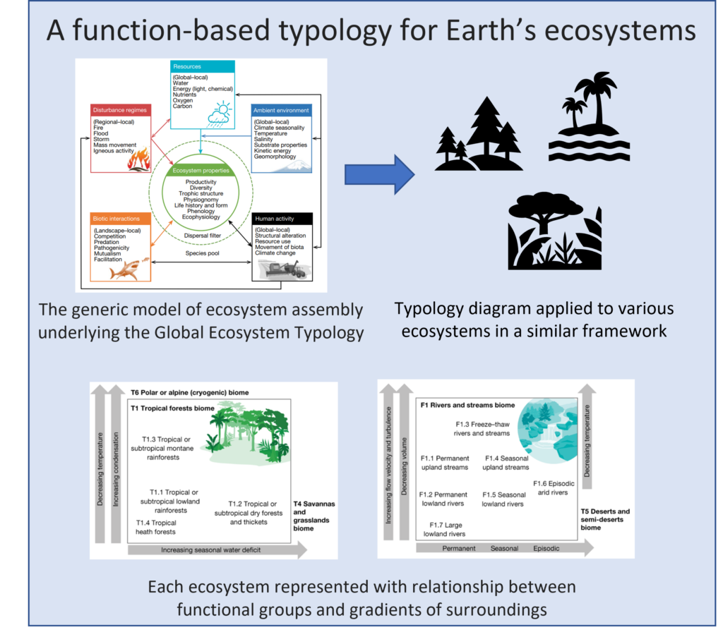 A function-based typology for Earth’s ecosystems