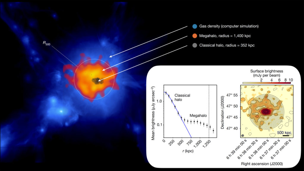 Galaxy clusters enveloped by vast volumes of relativistic electrons