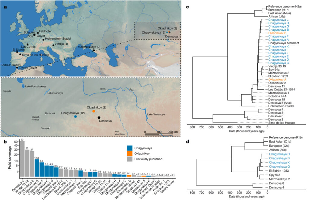 Genetic insights into the social organization of Neanderthals