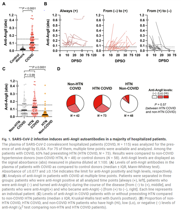 Severe COVID-19 induces autoantibodies against angiotensin II that correlate with blood pressure dysregulation and disease severity