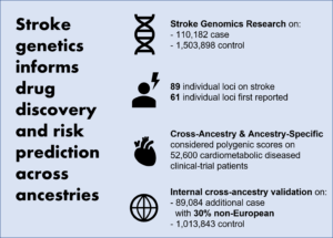 Read more about the article Stroke genetics informs drug discovery and risk prediction across ancestries