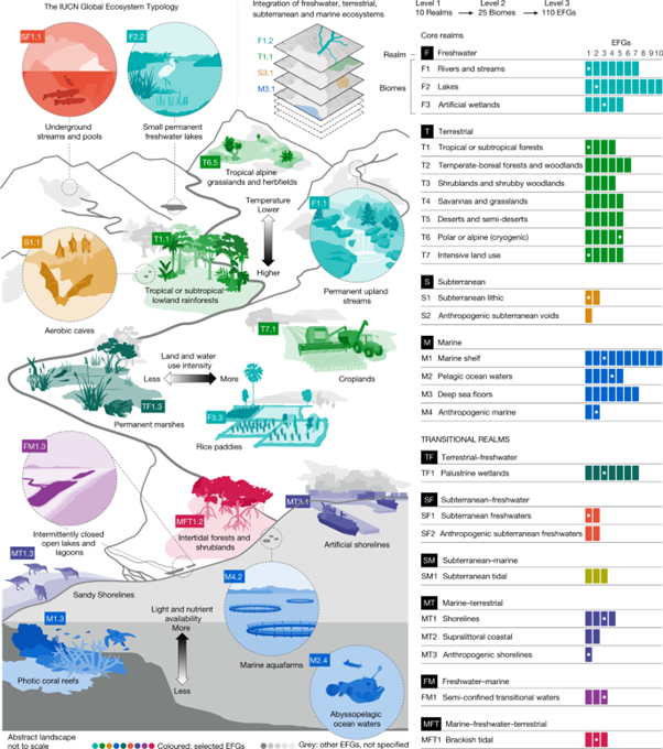 fig2_A function-based typology for Earth’s ecosystems