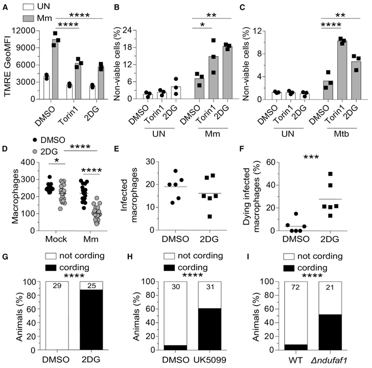 mTOR-regulated mitochondrial metabolism limits mycobacterium-induced cytotoxicity