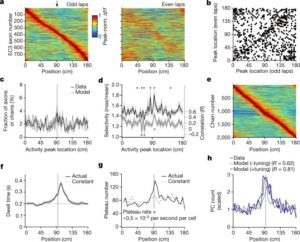 Read more about the article Entorhinal cortex directs learning-related changes in CA1 representations