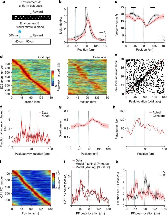 Entorhinal cortex directs learning-related changes in CA1 representations