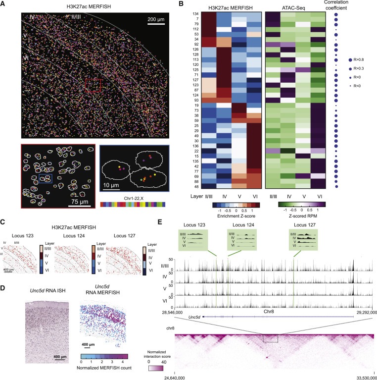 Spatially resolved epigenomic profiling of single cells in complex tissues