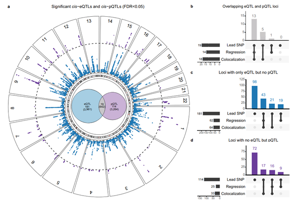 [Nature Genetics] Tissue-specific multi-omics analysis of atrial fibrillation