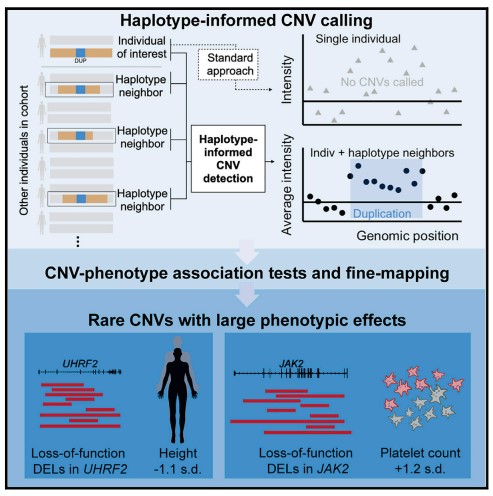 Read more about the article Influences of rare copy-number variation on human complex traits