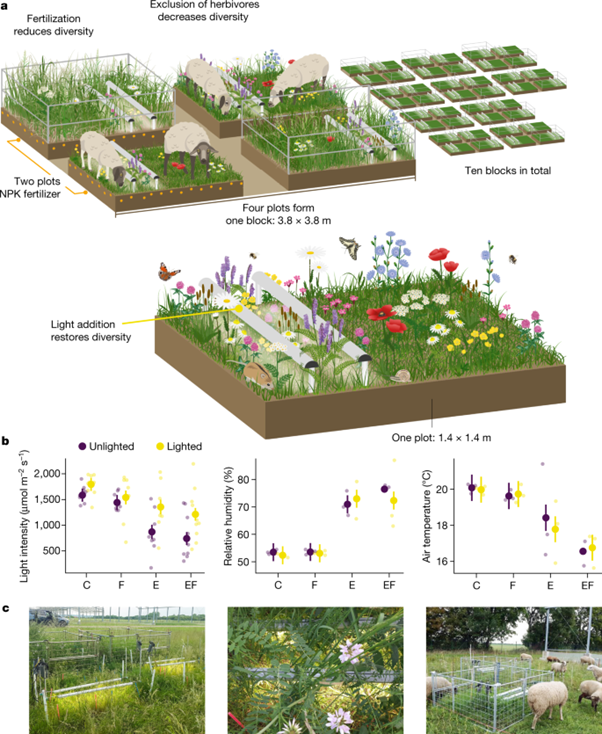 Light competition drives herbivore and nutrient effects on plant diversity