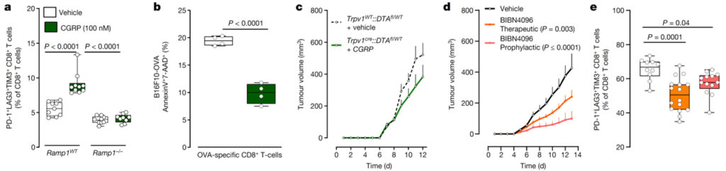 Nociceptor neurons affect cancer immunosurveillance