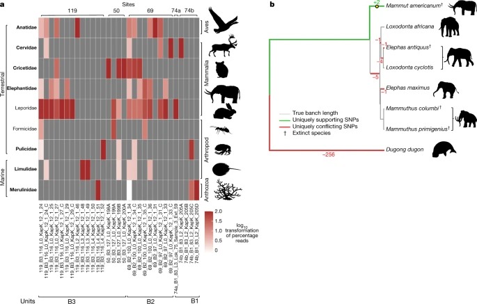 A 2-million-year-old ecosystem in Greenland uncovered by environmental DNA