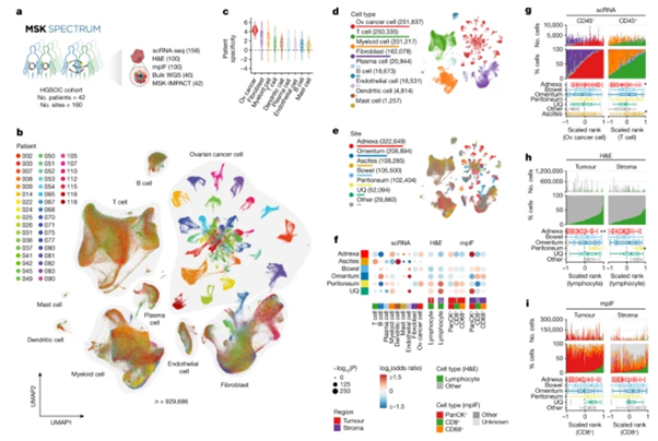 [Abs] Ovarian cancer mutational processes drive site-specific immune evasion