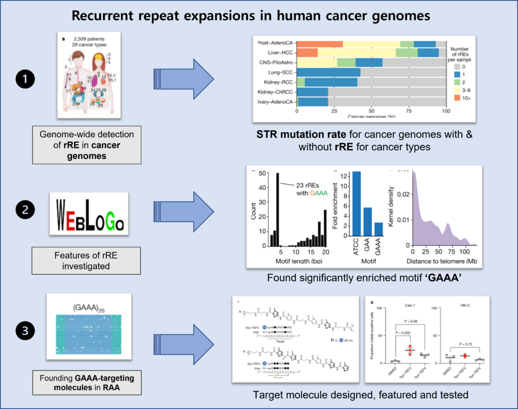 [EzV] Recurrent repeat expansions in human cancer genomes