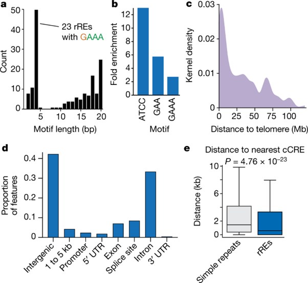 [Fig2] Recurrent repeat expansions in human cancer genomes