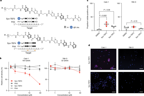 [Fig5] Recurrent repeat expansions in human cancer genomes