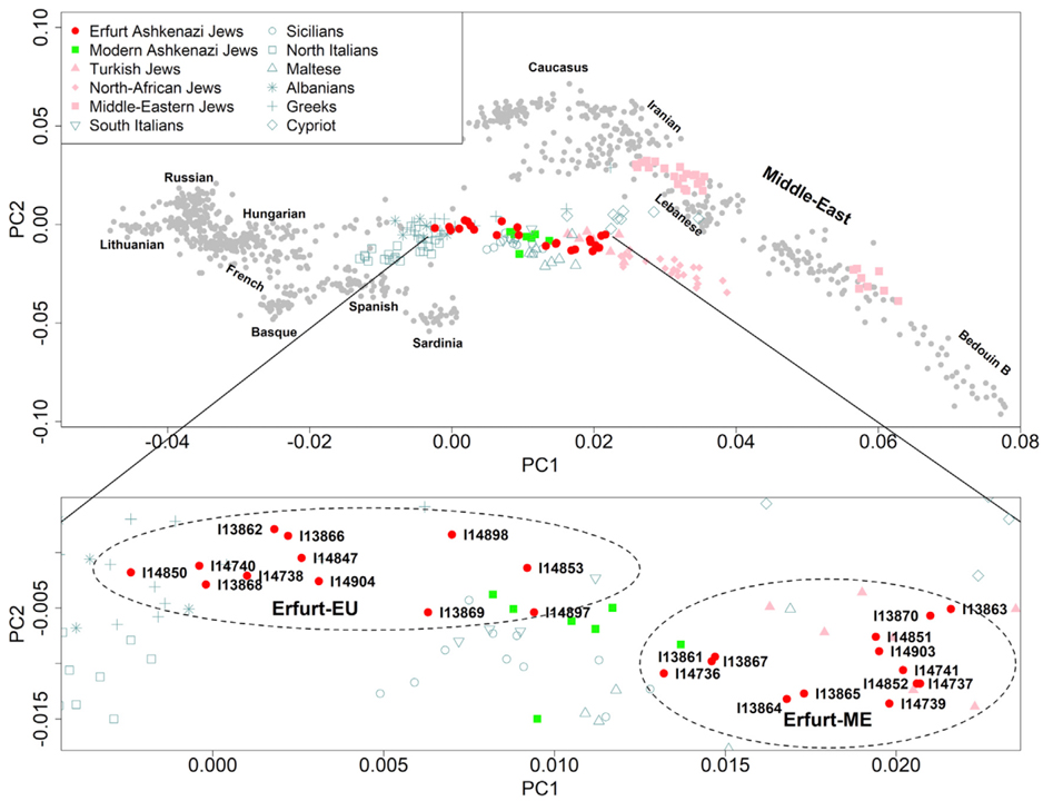 Genome-wide data from medieval German Jews show that the Ashkenazi founder event pre-dated the 14th century