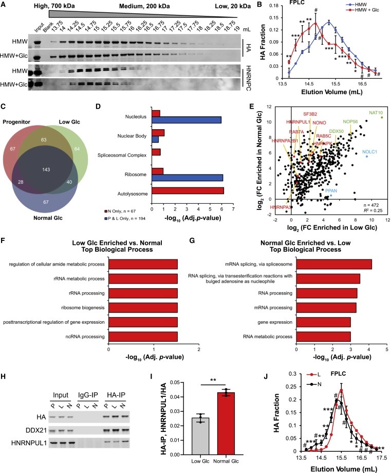 Glucose dissociates DDX21 dimers to regulate mRNA splicing and tissue differentiation