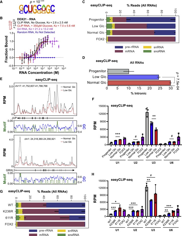 Glucose dissociates DDX21 dimers to regulate mRNA splicing and tissue differentiation