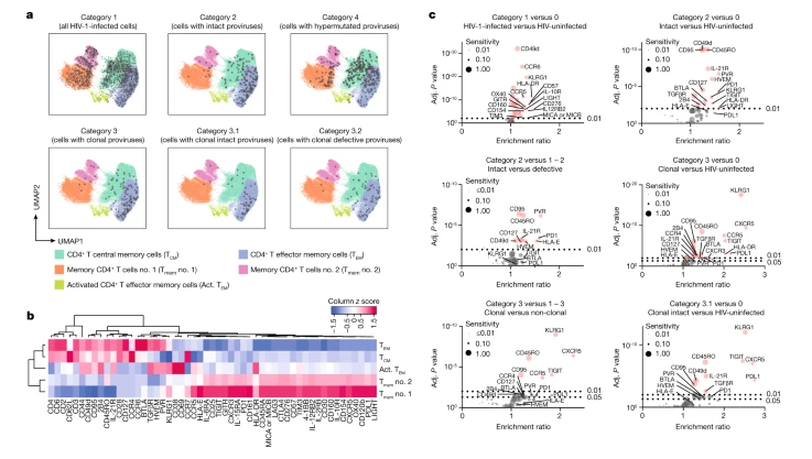 Phenotypic profile of patient-derived HIV-1-infected cells circulating in PB