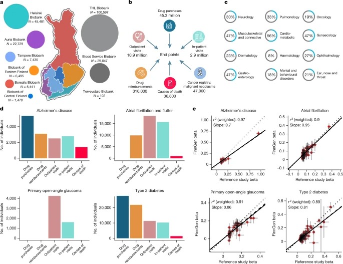 FinnGen provides genetic insights from a well-phenotyped isolated population