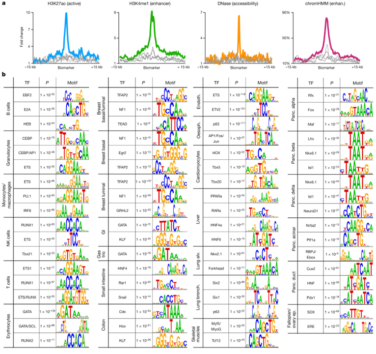 A Dna Methylation Atlas Of Normal Human Cell Types Science Easyview 8499