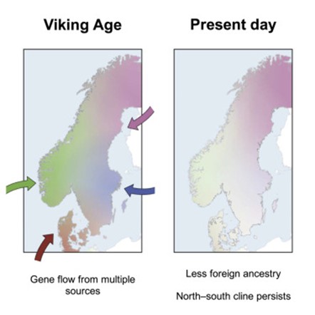 [Abs] The genetic history of Scandinavia from the Roman Iron Age to the present