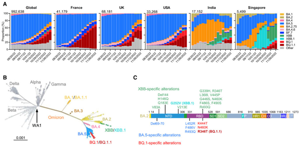 Alarming antibody evasion properties of rising SARS-CoV-2 BQ and XBB subvariants