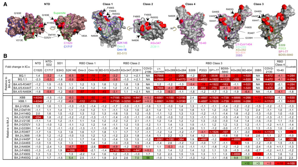 Alarming antibody evasion properties of rising SARS-CoV-2 BQ and XBB subvariants