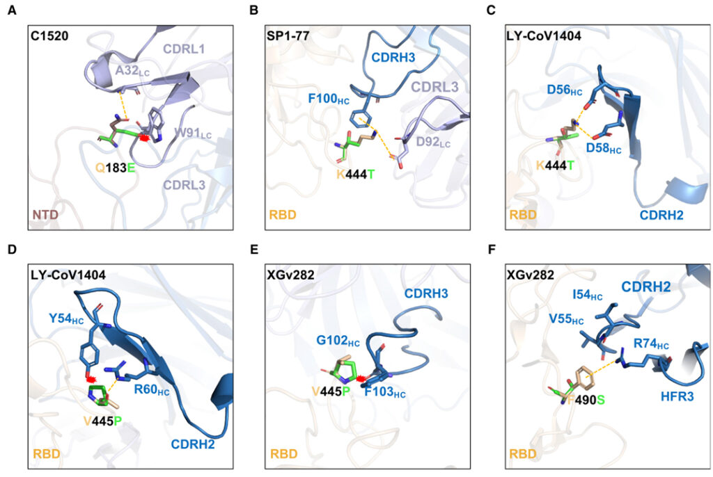 Alarming antibody evasion properties of rising SARS-CoV-2 BQ and XBB subvariants