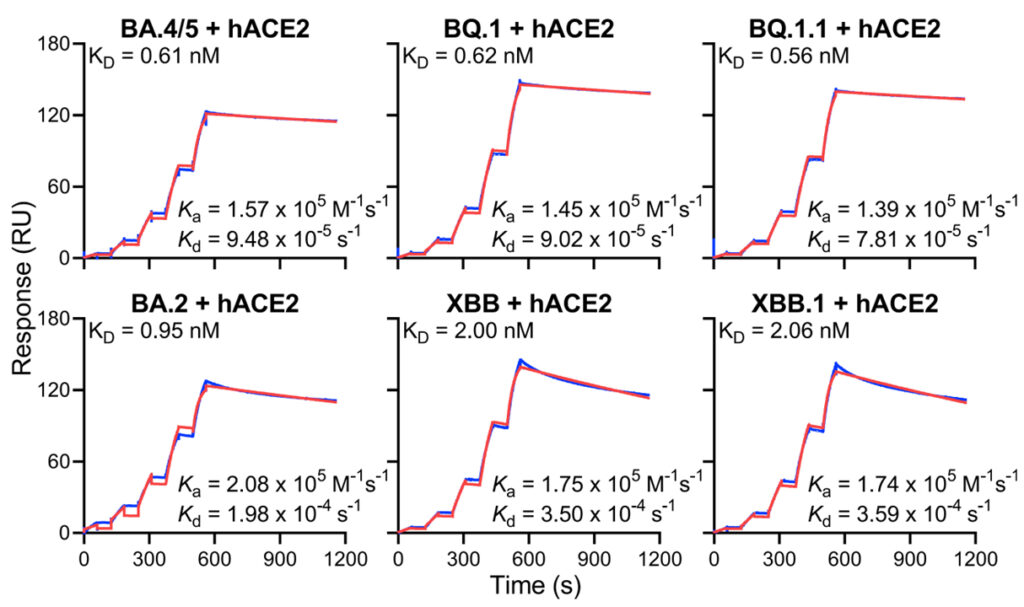 Alarming antibody evasion properties of rising SARS-CoV-2 BQ and XBB subvariants