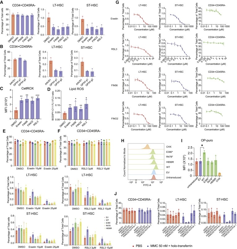 Human hematopoietic stem cell vulnerability to ferroptosis