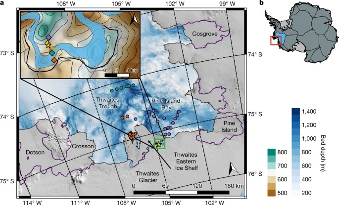 Suppressed basal melting in the eastern Thwaites Glacier grounding zone