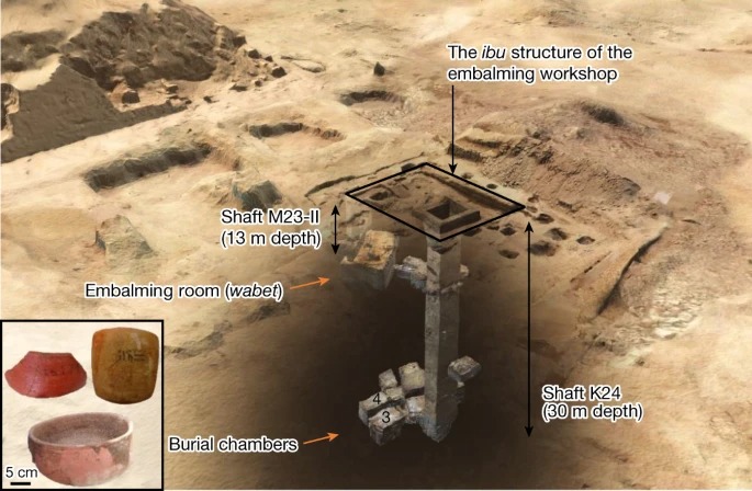 Biomolecular analyses enable new insights into ancient Egyptian embalming