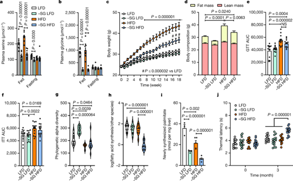 [Fig 2] Insulin-regulated serine and lipid metabolism drive peripheral neuropathy