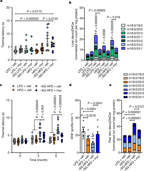 [Fig 3] Insulin-regulated serine and lipid metabolism drive peripheral neuropathy