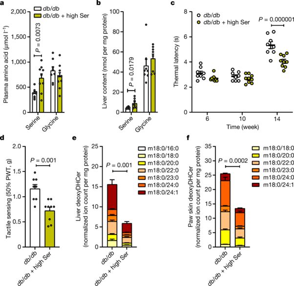 [Fig 4] Insulin-regulated serine and lipid metabolism drive peripheral neuropathy