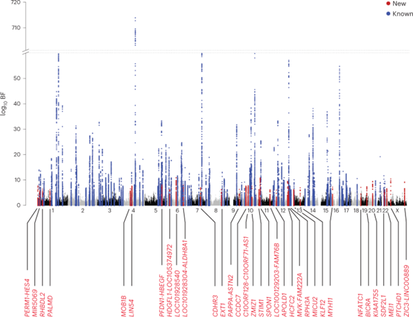 [Fig2] [Nature Genetics] Cross-ancestry genome-wide analysis of atrial fibrillation unveils disease biology and enables cardioembolic risk prediction