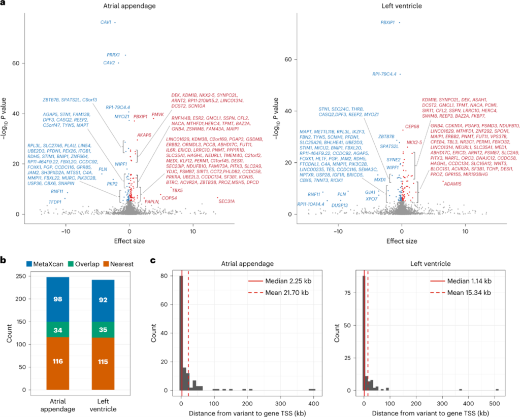 [Fig3] [Nature Genetics] Cross-ancestry genome-wide analysis of atrial fibrillation unveils disease biology and enables cardioembolic risk prediction