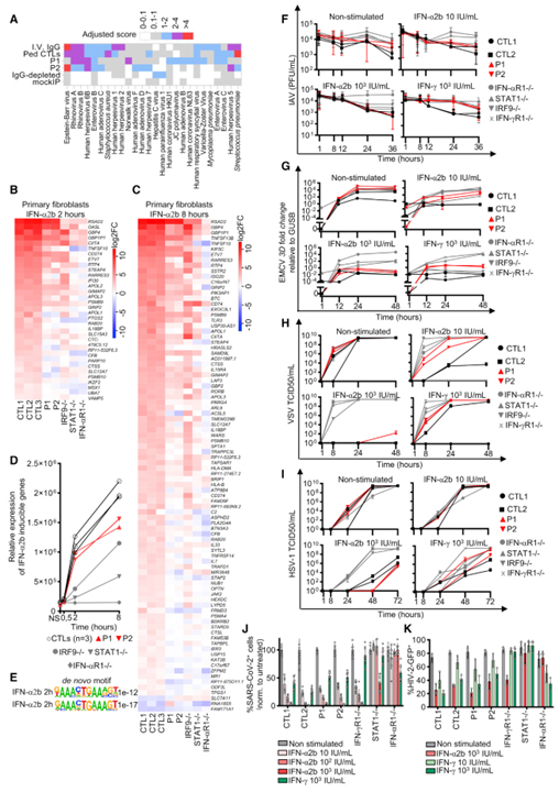 Human IRF1 governs macrophagic IFN-γ immunity to mycobacteria